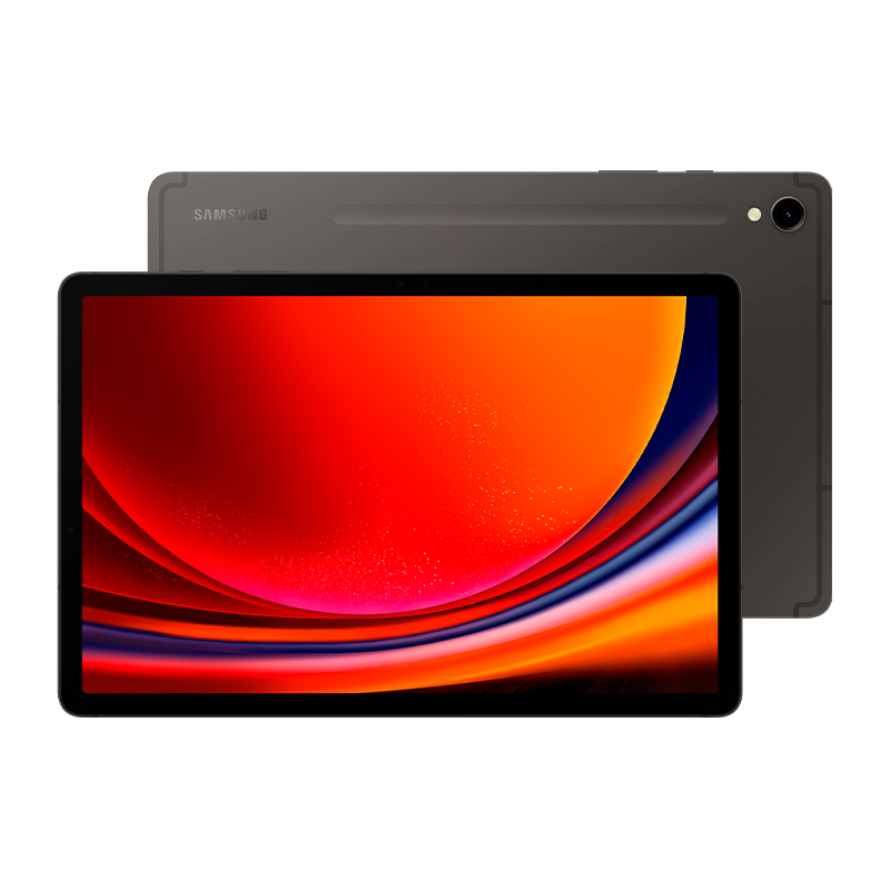 Tablet Samsung Galaxy Tab S9 Wi-Fi 256Gb 12Gb RAM